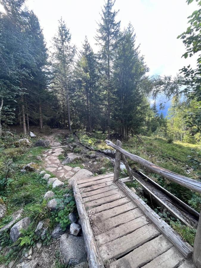 Apartmán Rifugetto Marilleva Exteriér fotografie