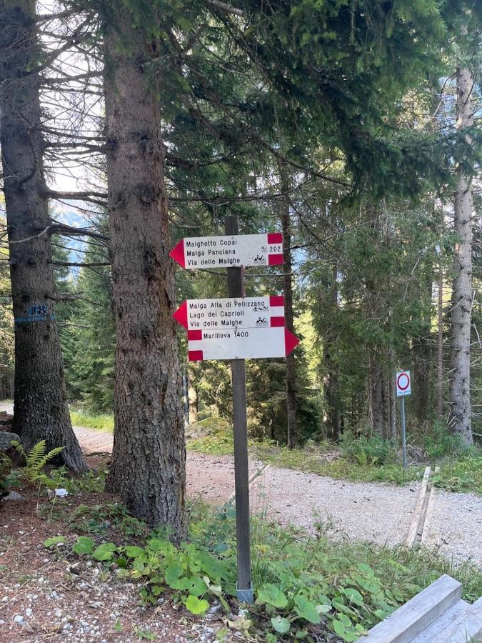 Apartmán Rifugetto Marilleva Exteriér fotografie